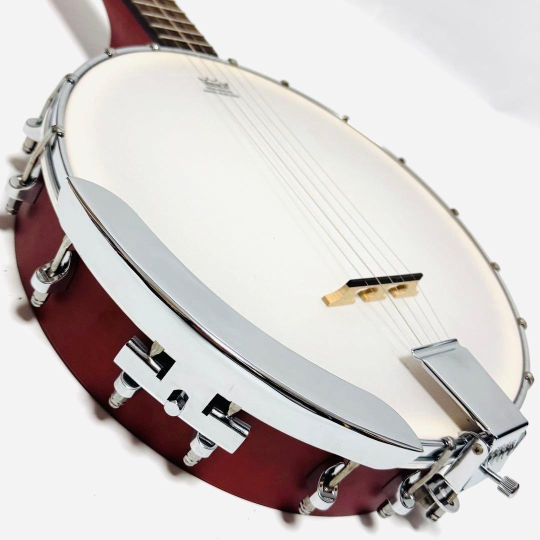 Epiphone MB-100 Banjo エピフォン バンジョー
