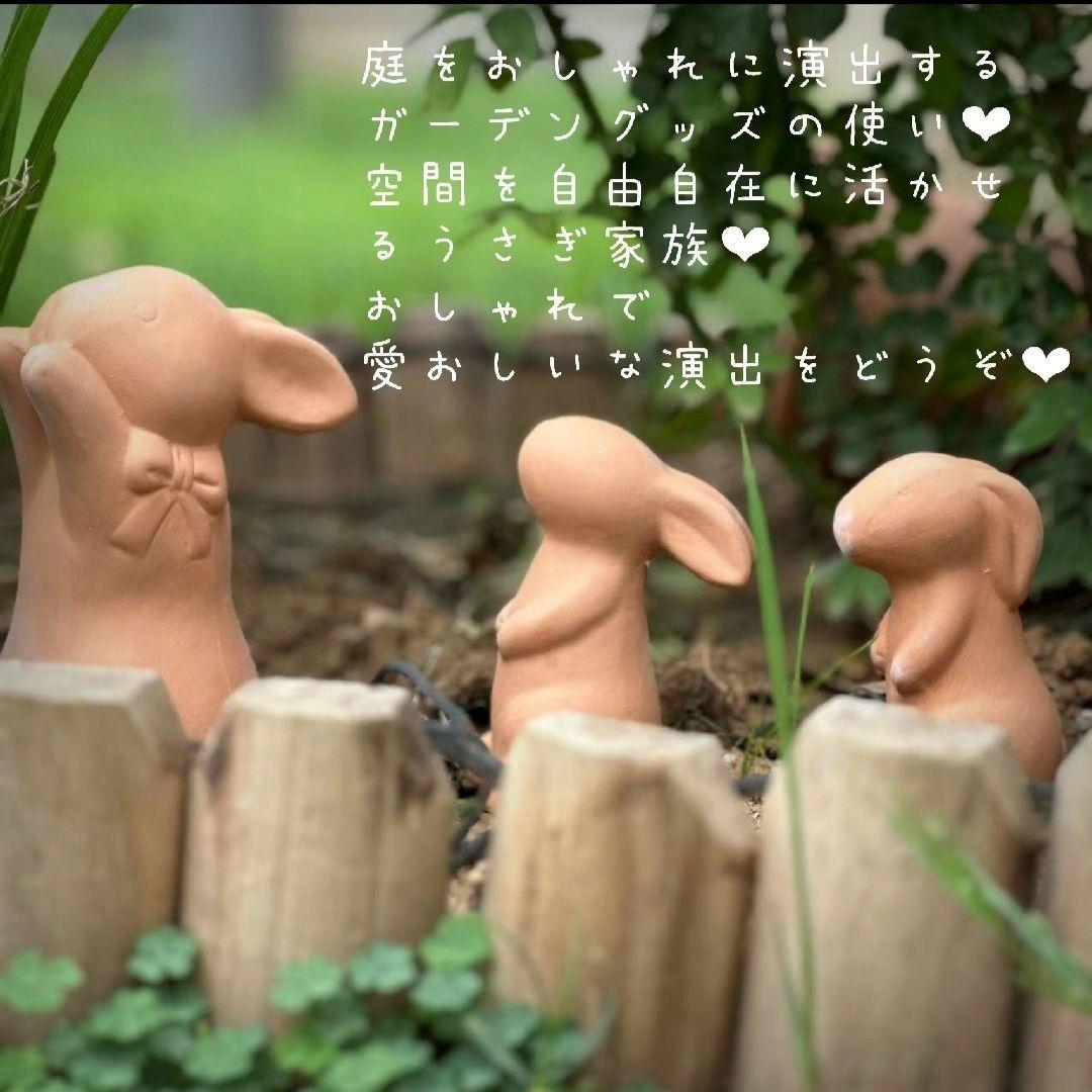 特別な4点セット・ゴールデンウィーク向け素敵な庭作りどうぞ( *ˊᗜˋ* )