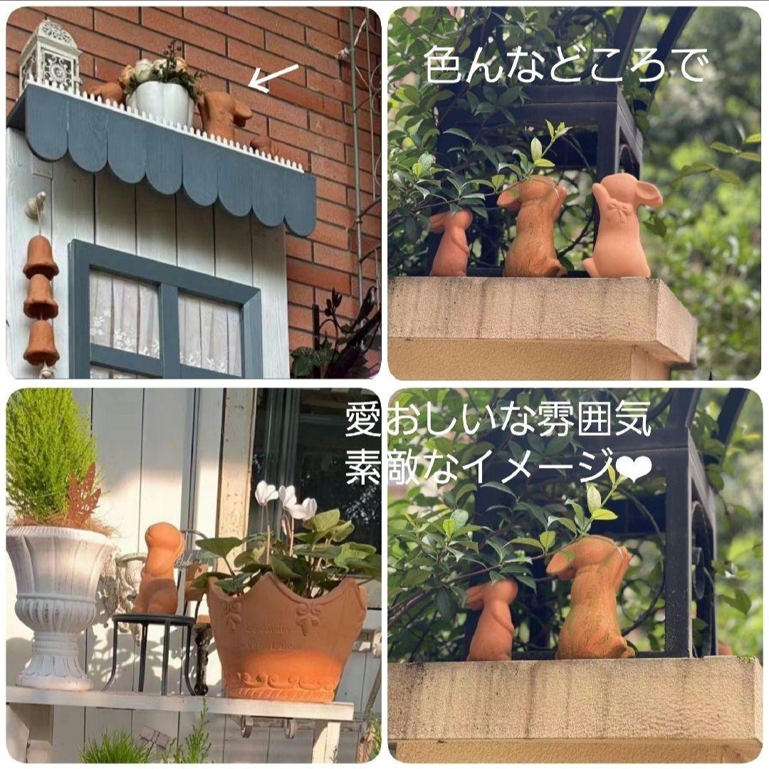 特別な4点セット・ゴールデンウィーク向け素敵な庭作りどうぞ( *ˊᗜˋ* )