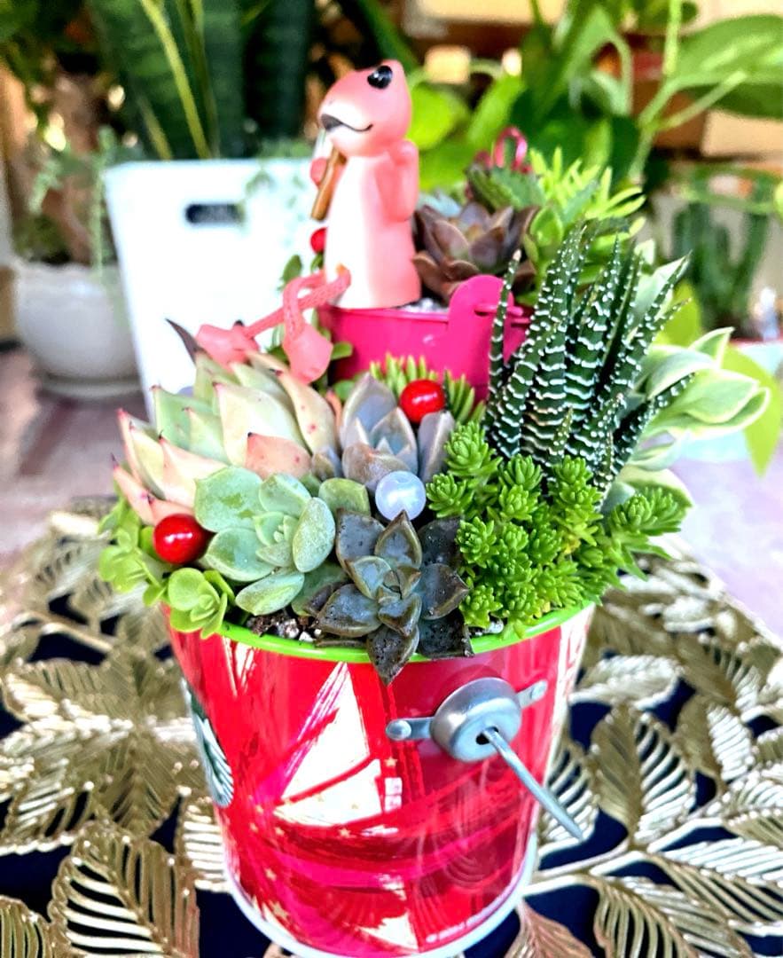 多肉寄せ植え✿カエル✿スタバ✿そのまま飾れます