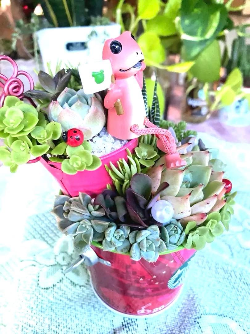 多肉寄せ植え✿カエル✿スタバ✿そのまま飾れます
