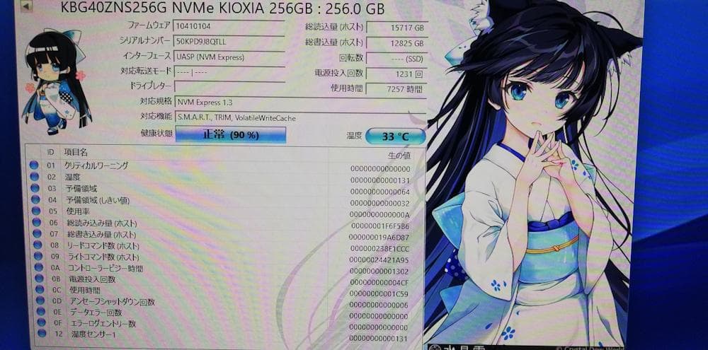 KIOXIA KBG40ZNS256G 256GB NVMe SSD 3枚組
