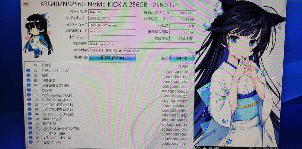 KIOXIA KBG40ZNS256G 256GB NVMe SSD 3枚組