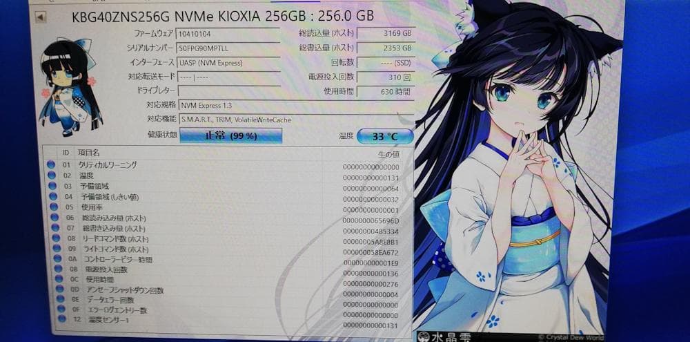 KIOXIA KBG40ZNS256G 256GB NVMe SSD 3枚組