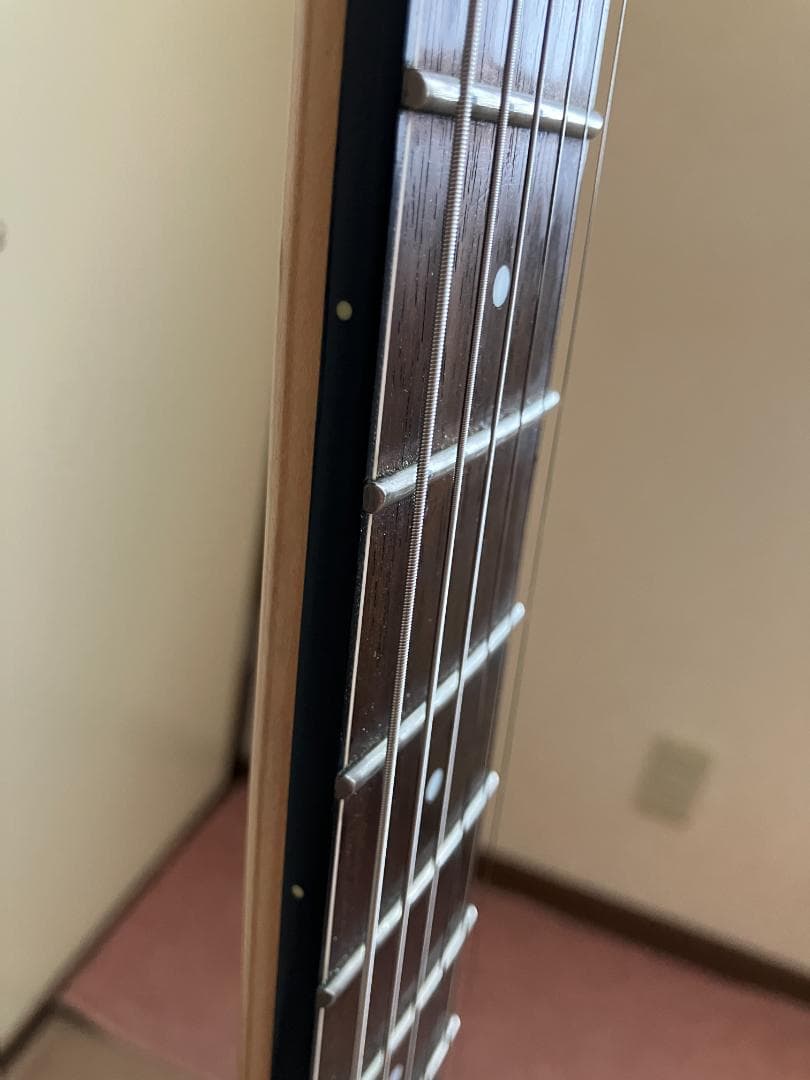 IBANEZ RGR-520D Seymour Duncan２発搭載 !!