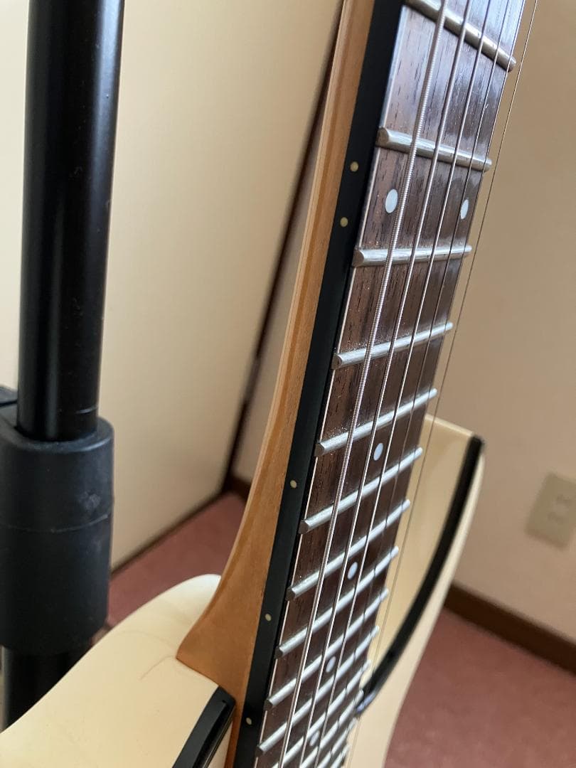 IBANEZ RGR-520D Seymour Duncan２発搭載 !!