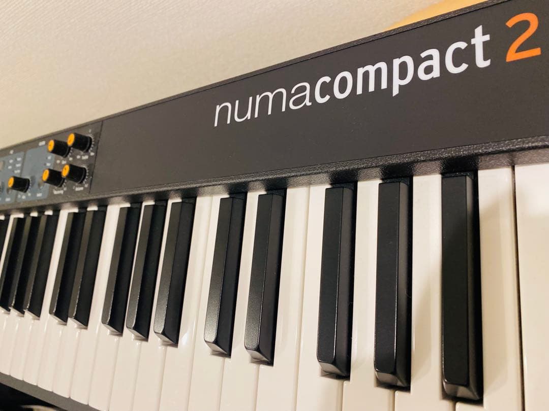 【リザードン】Numa Compact 2