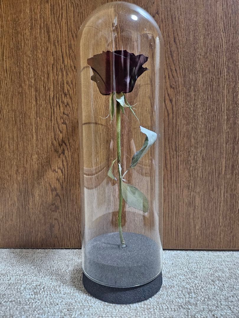 【ハンドメイド】ドライフラワー　バラ