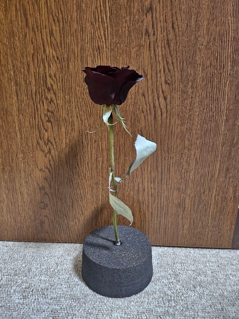 【ハンドメイド】ドライフラワー　バラ
