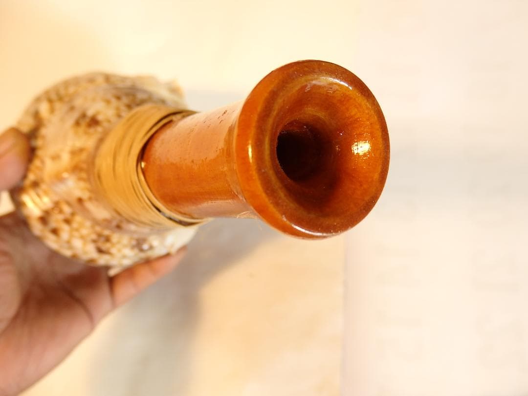 法螺貝 約32㎝ 木製歌口,新品 MH-464