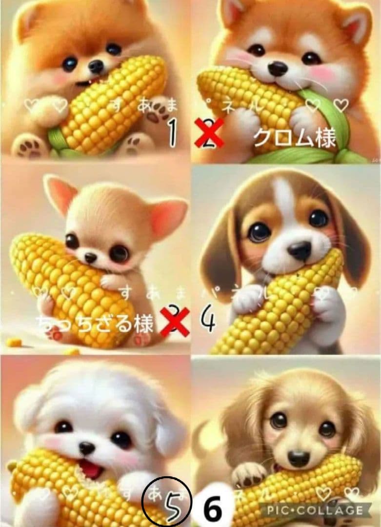 【2月】スーディー