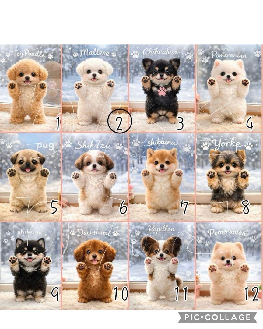 【2月】スーディー