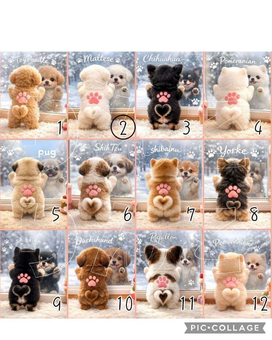 【2月】スーディー