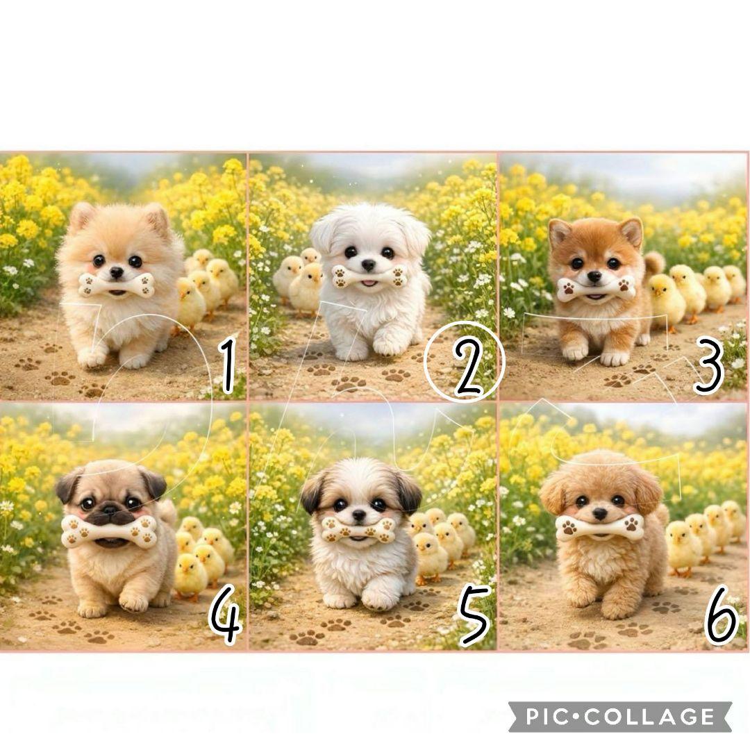 【2月】スーディー