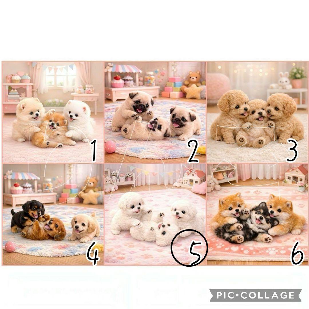 【2月】スーディー