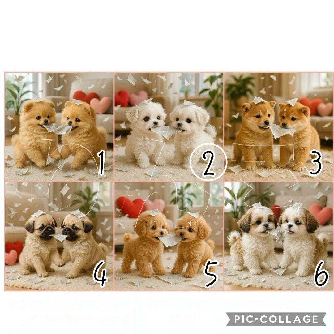 【2月】スーディー