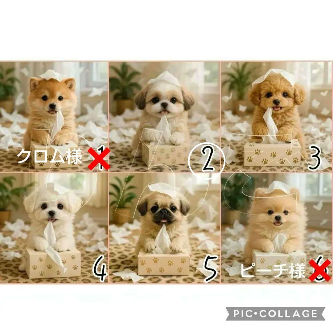 【2月】スーディー