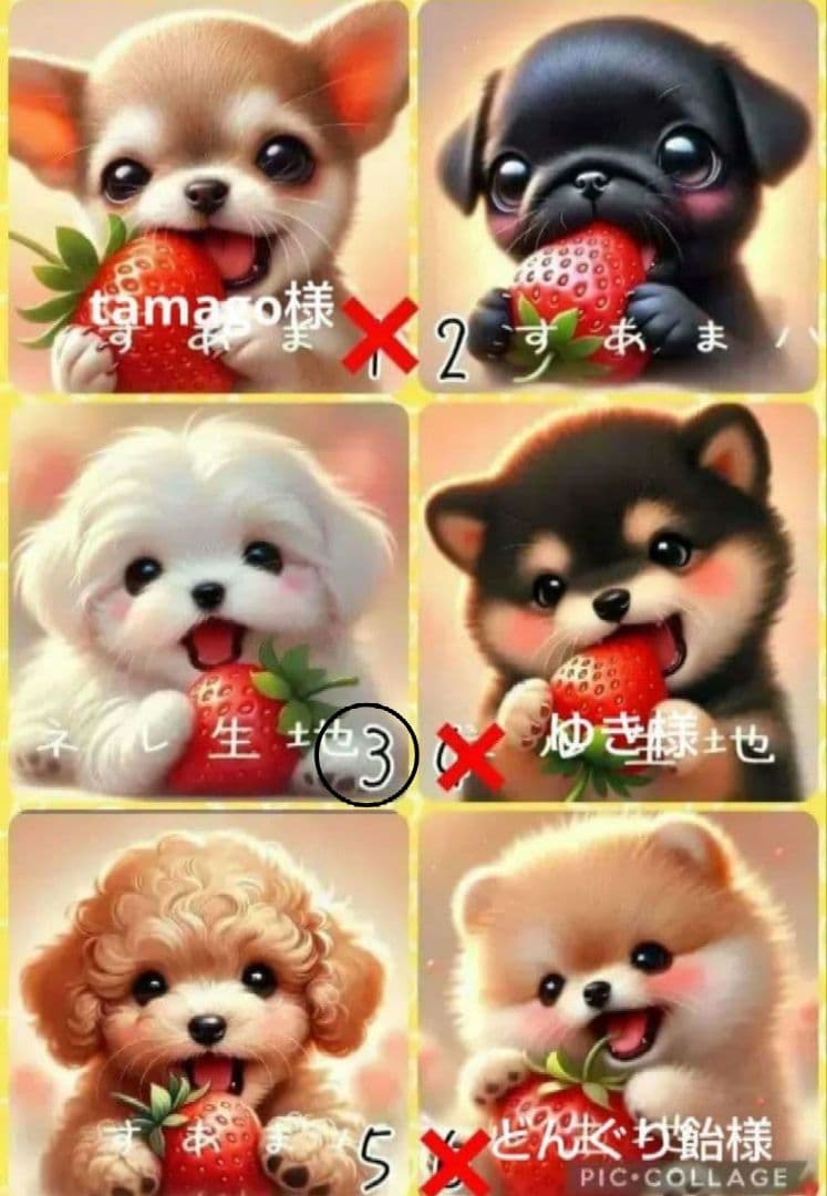 【2月】スーディー