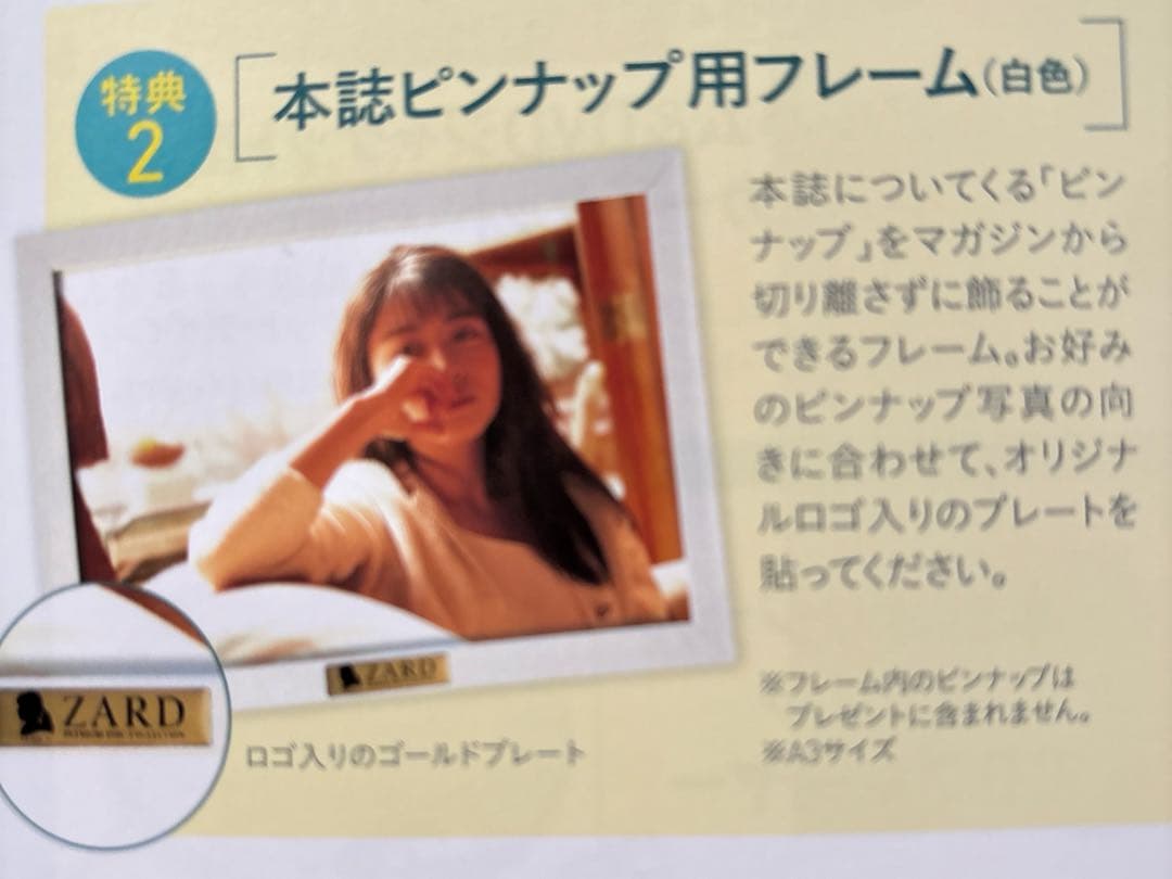 ZARDプレミアムディスクコレクション読者特典4点セット