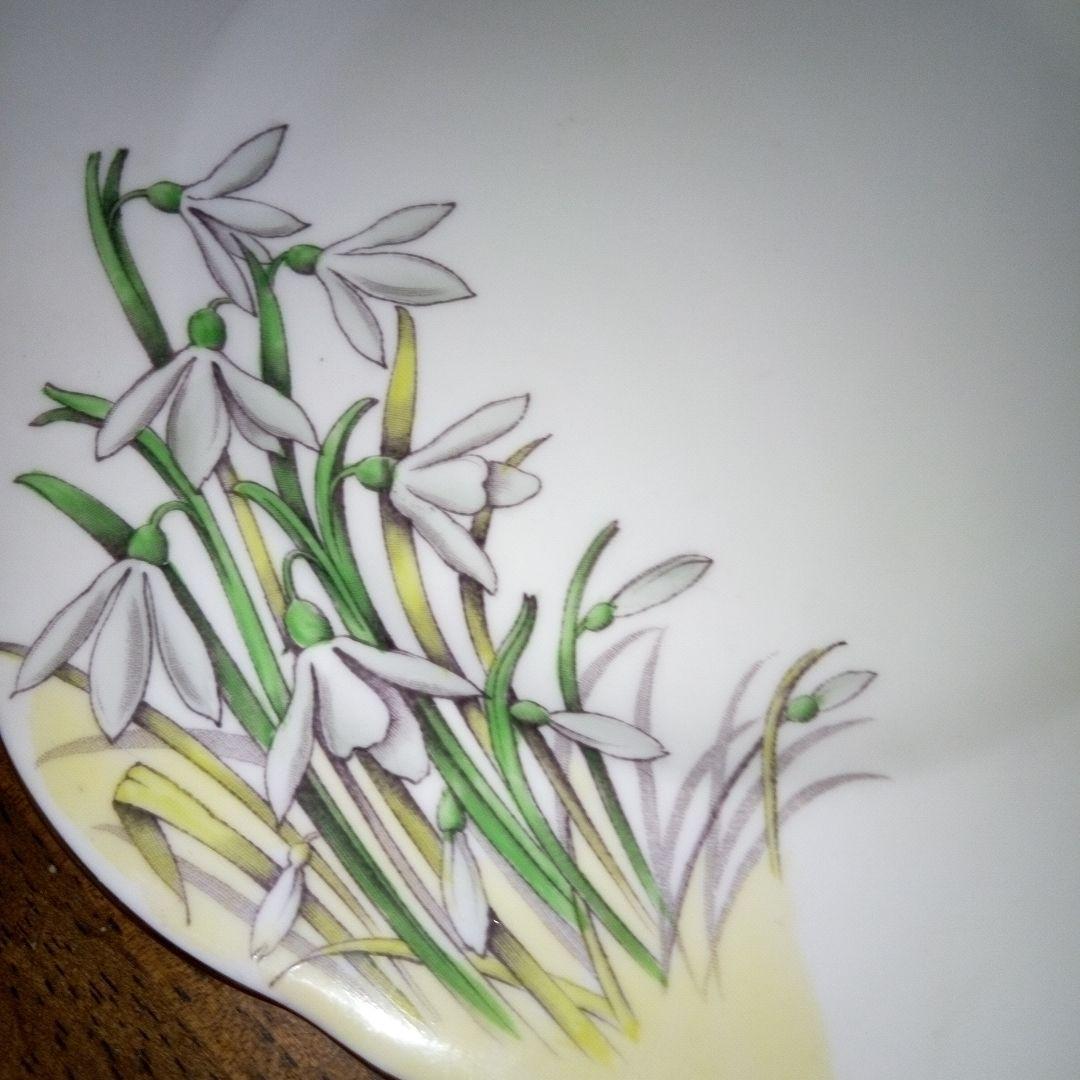 ロイヤルアルバートフラワーマンス　モーニンググローリーひいらぎ待雪草の3枚セット