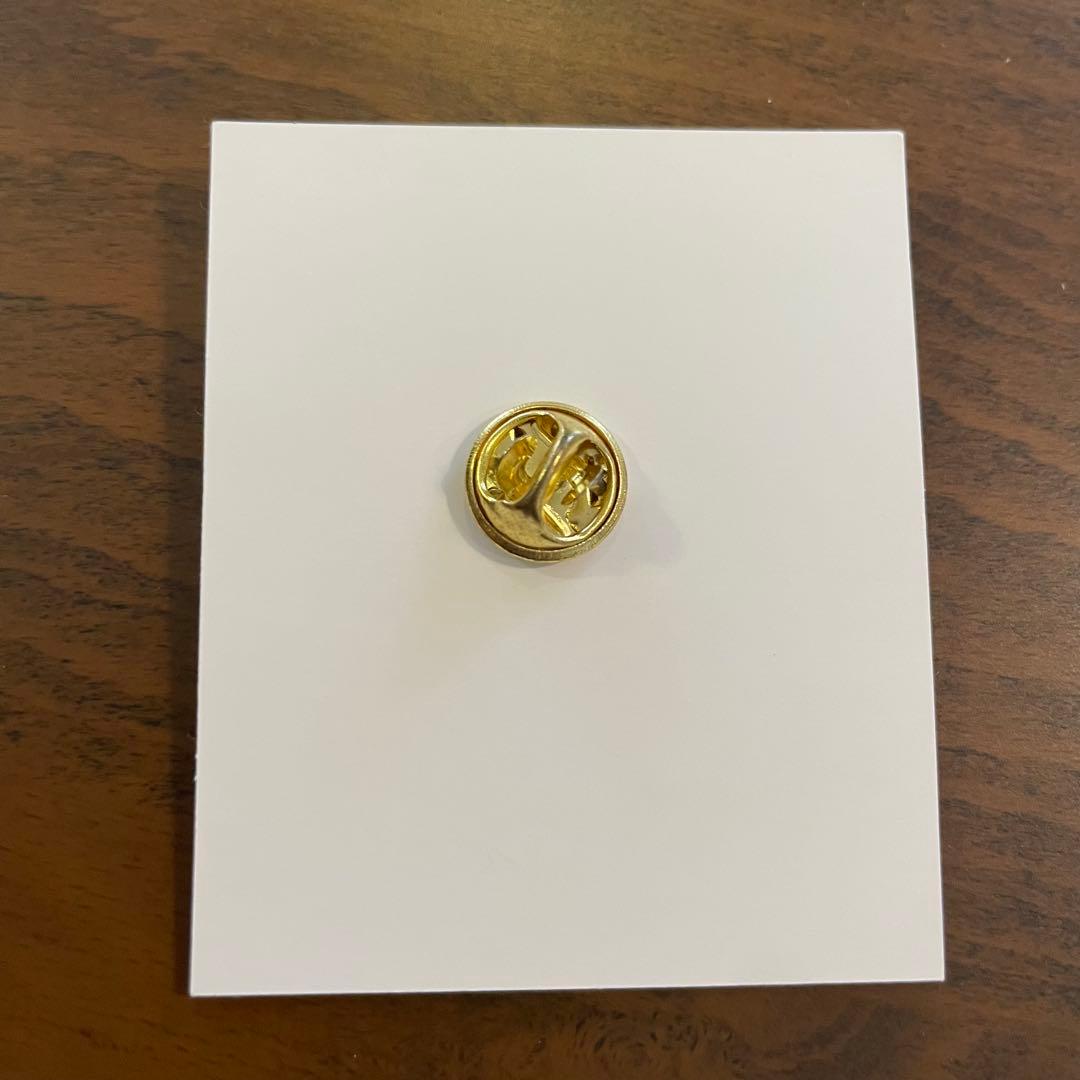 お値下げ！EXPO2025 イタリアパビリオン ピンバッジ【非売品】