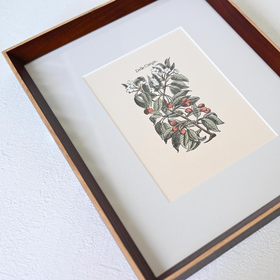 チェリーの植物図譜アート｜額装ポスター｜ダイニング・キッチンインテリアに