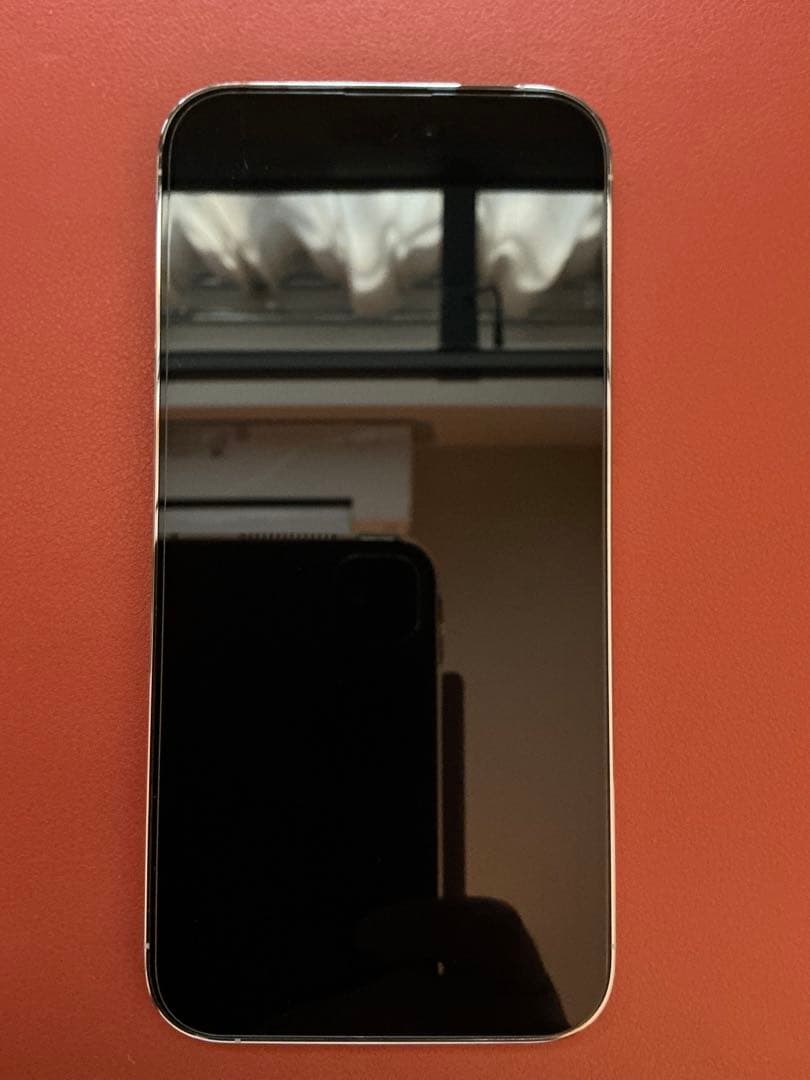 Apple iPhone 14 Pro Max 256GBシルバー本体　おまけ付