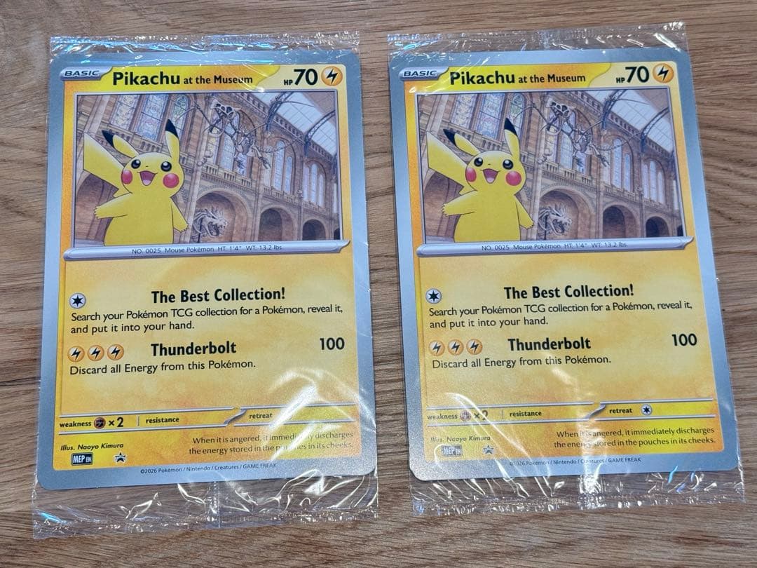 2枚セット Pikachu at the Museum ピカチュウ 自然史博物館