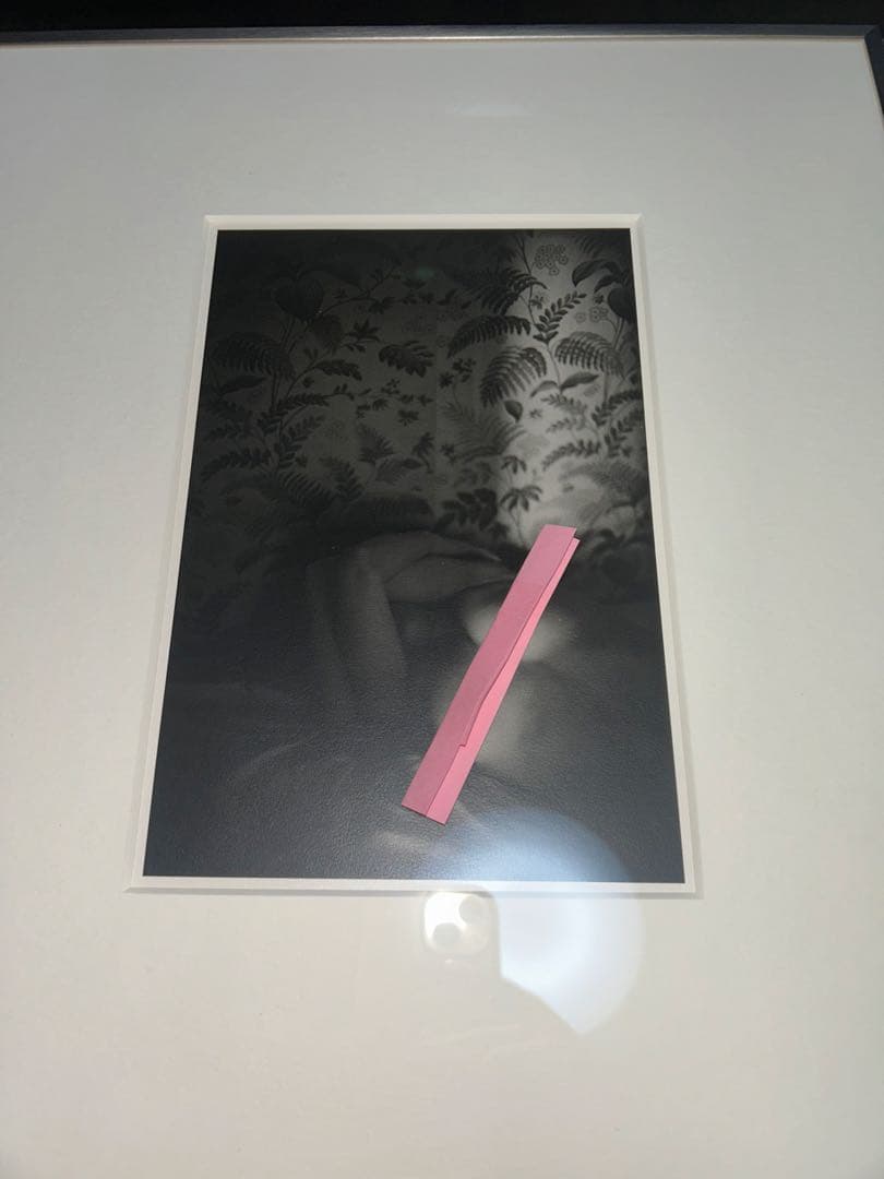 TOMIO SEIKE 清家富雄　オリジナルプリント 額装着き