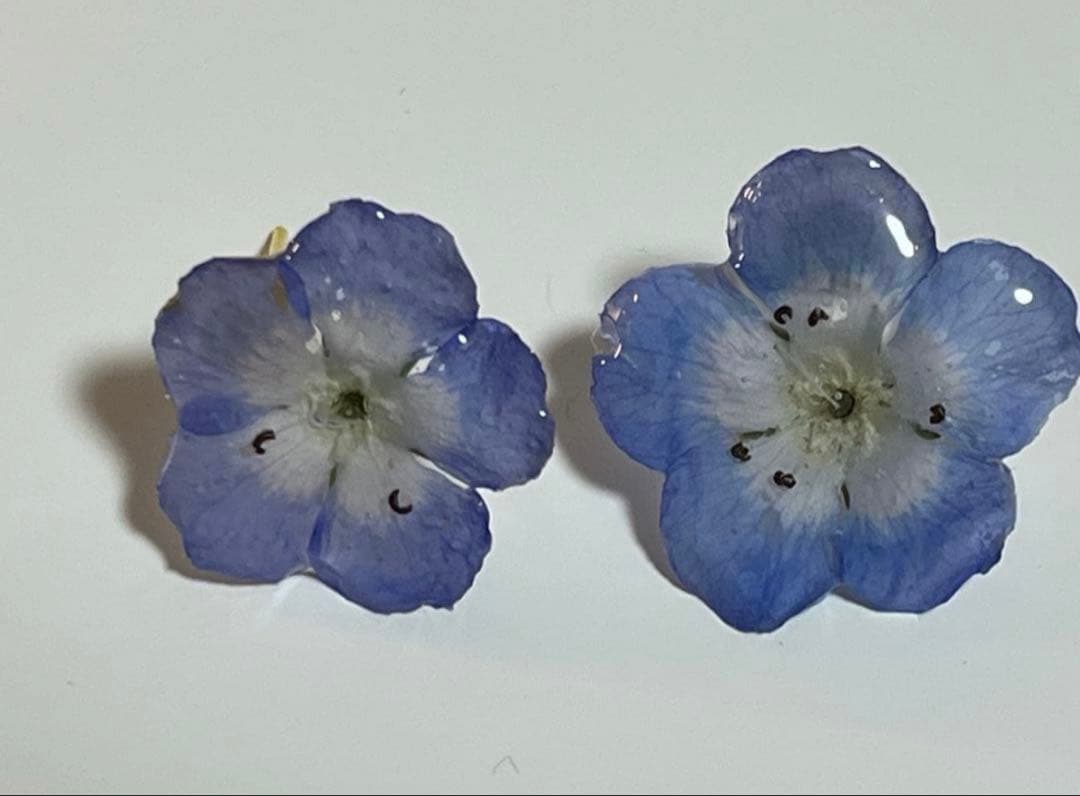 ②小　ネモフィラ　ハンドメイドステンレス製　ポストピアス　ドライフラワー　レジン