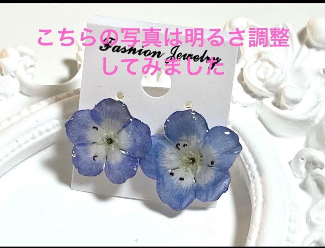 ②小　ネモフィラ　ハンドメイドステンレス製　ポストピアス　ドライフラワー　レジン