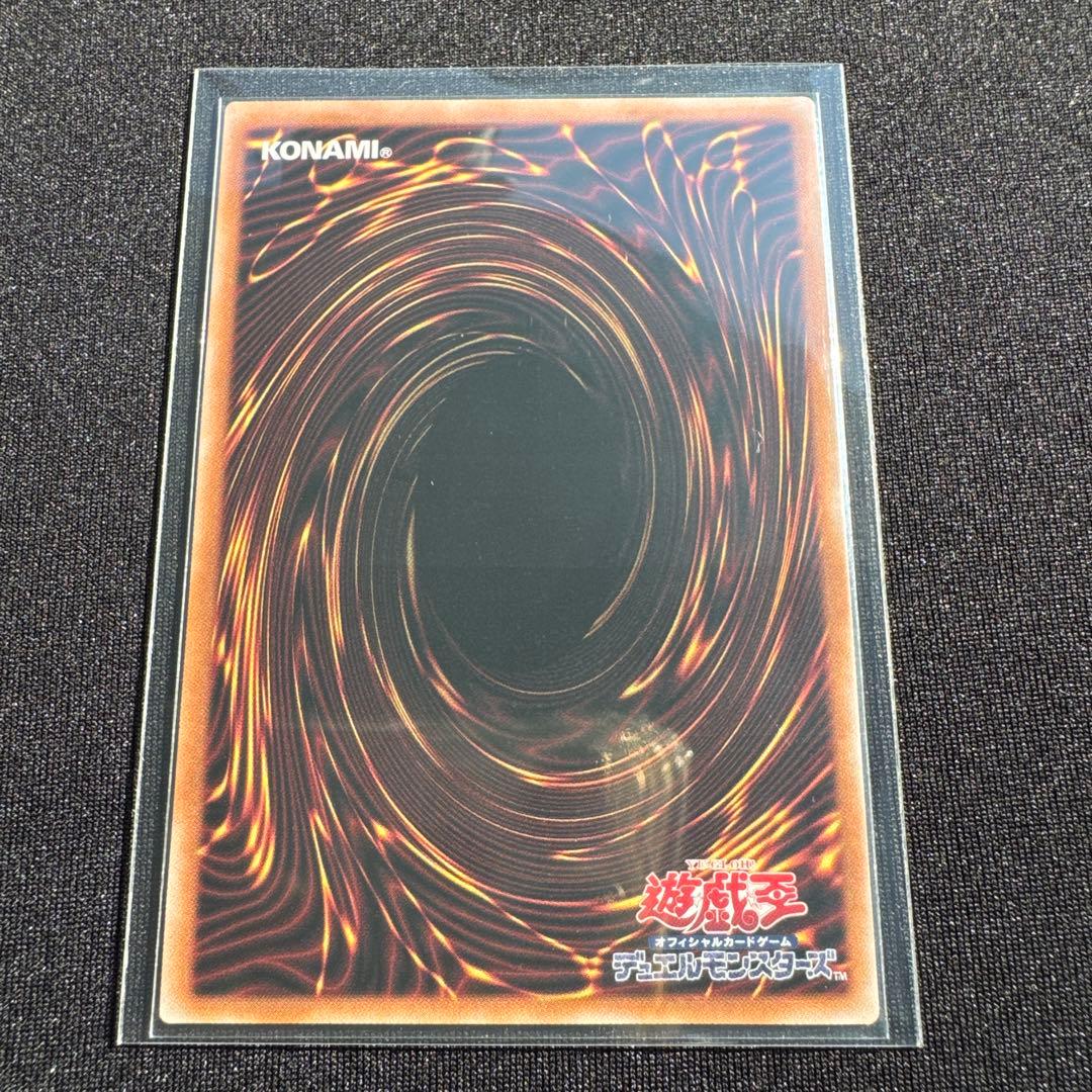 遊戯王 黒き竜のエクレシア & 白き竜の落胤 セット