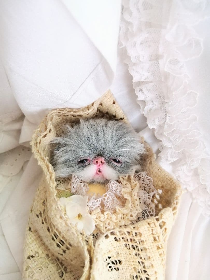 ちょがんちゃん❤️オーダー❤️生後15日♡子猫ちゃん♡アートドール♡ぬいぐるみ♡