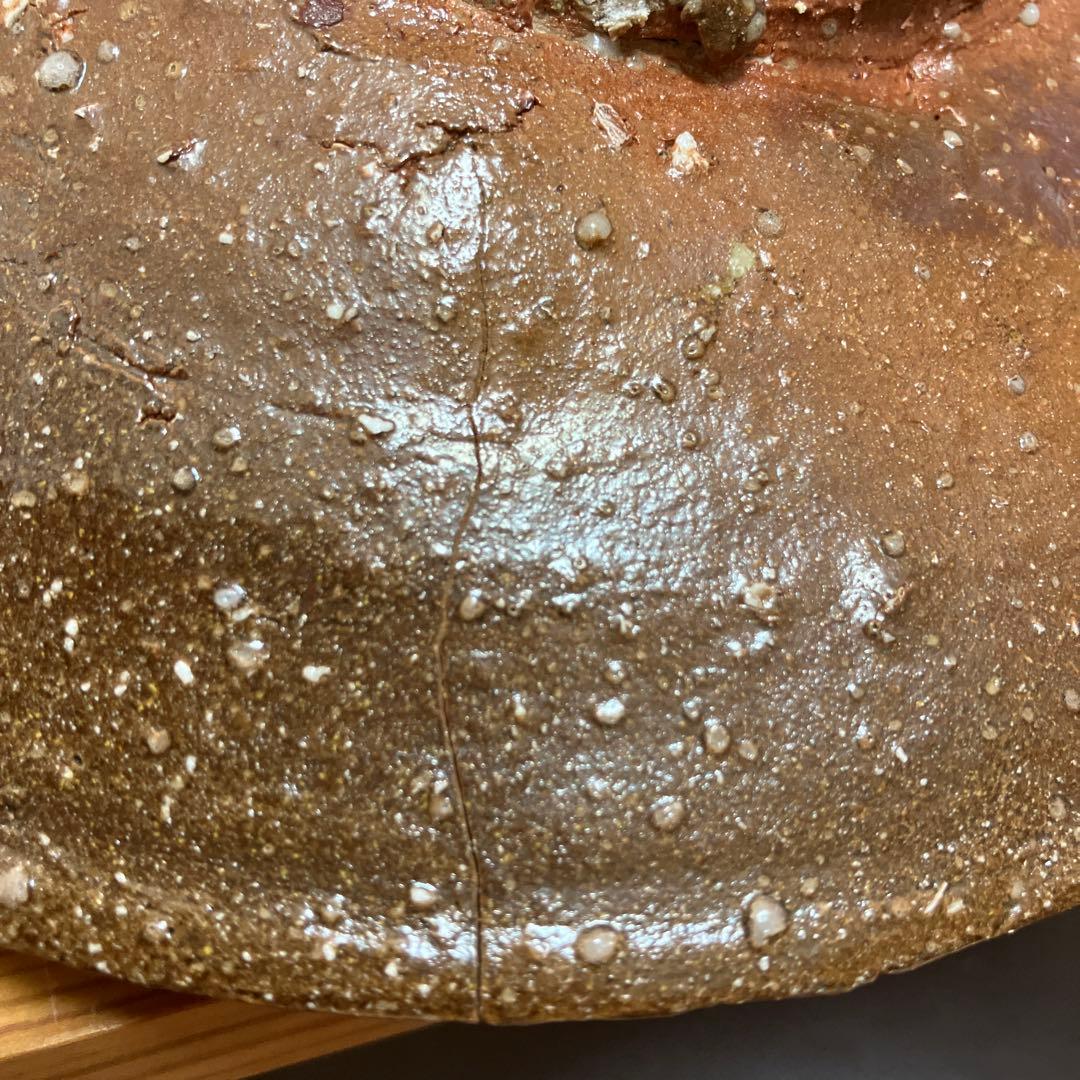 琉球　沖縄　当真裕爾作　貝型の皿　ヤチムン　やちむん　珍品　希少 ニュウ有