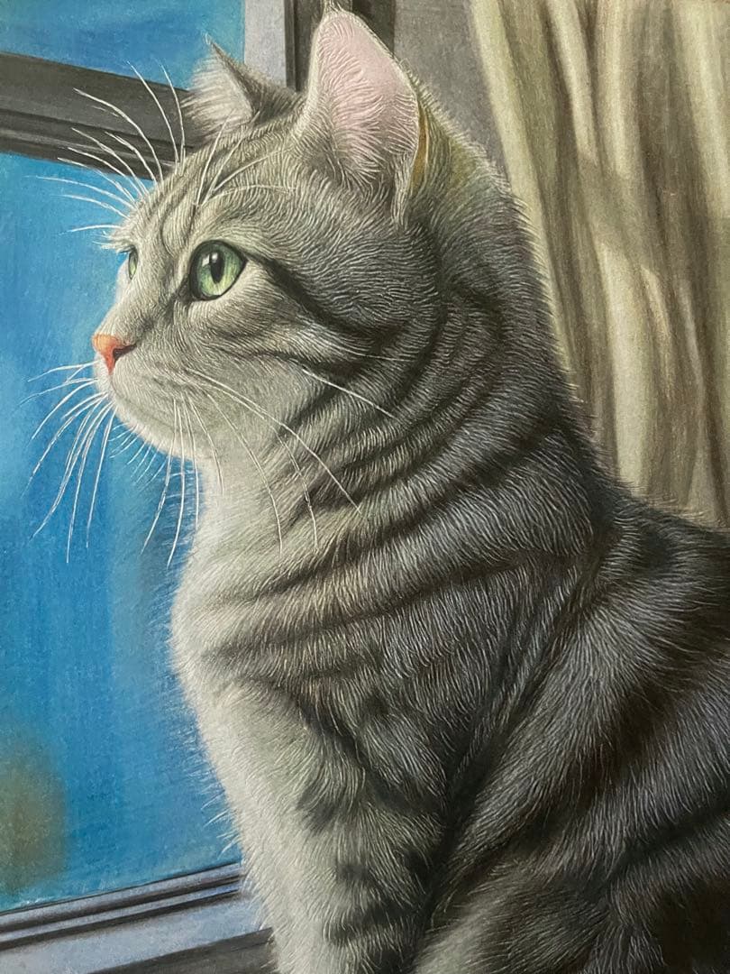 色鉛筆画アメリカンショートヘア.22