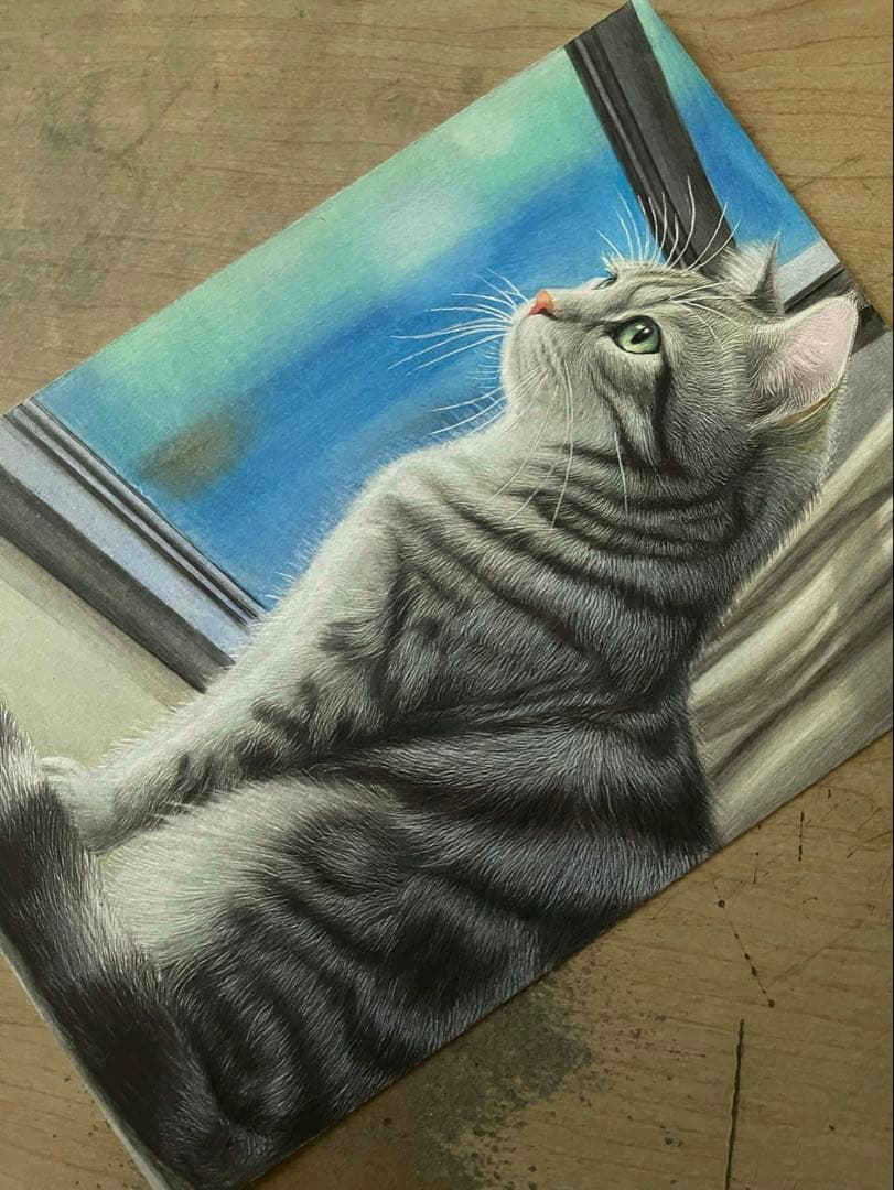 色鉛筆画アメリカンショートヘア.22