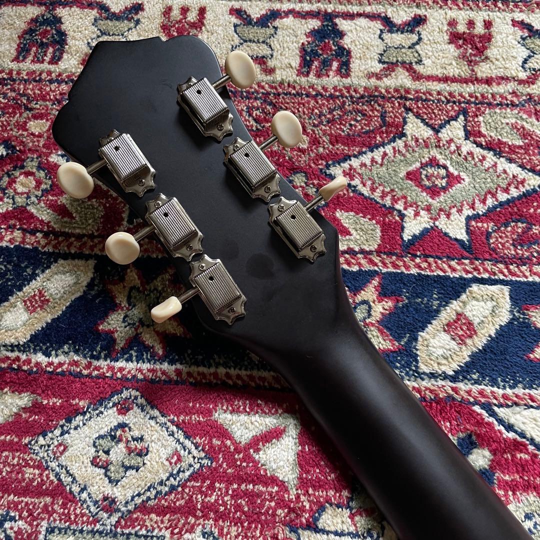 RECORDING KING RPS7FE3 レコーディングキング エレアコ