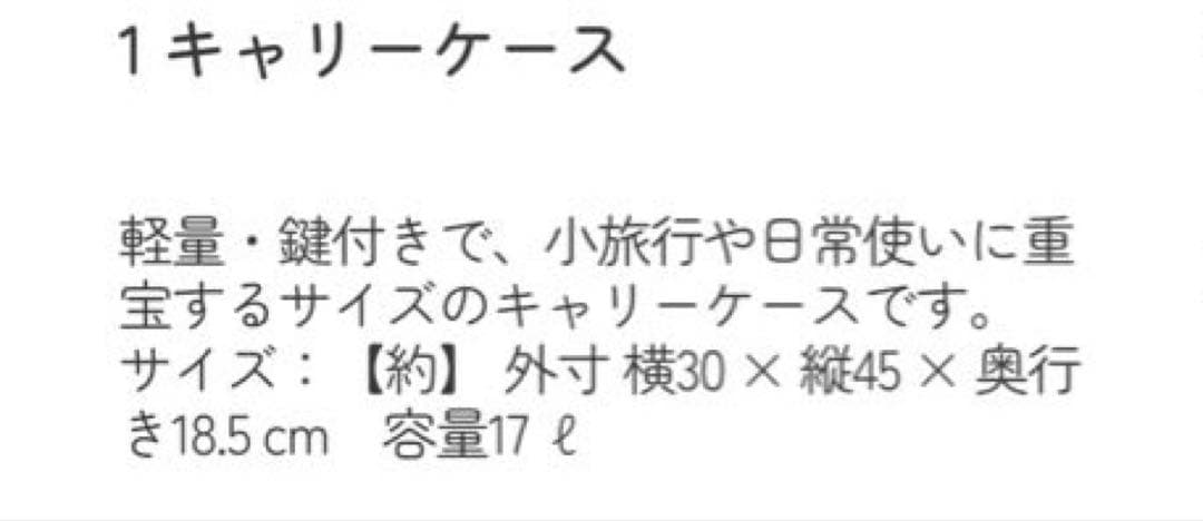 ハンギョドン 一番くじ キャリーケース