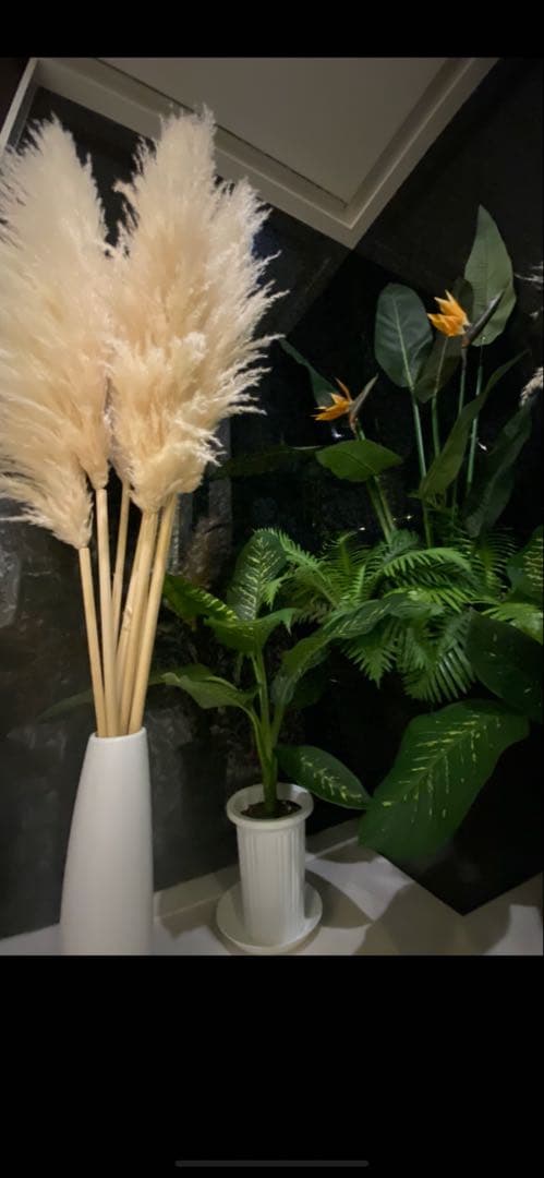 パンパスグラス 超特大4本 値下げ中