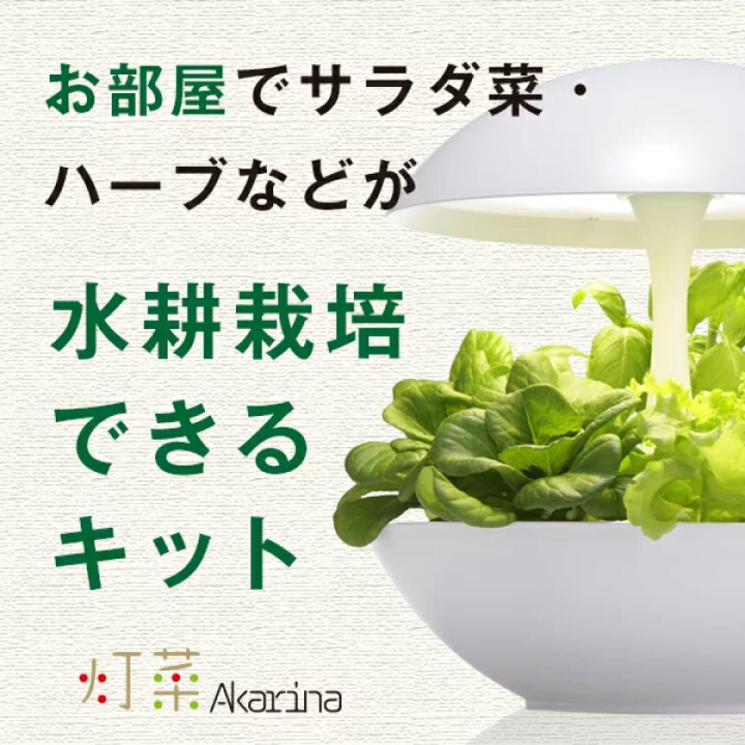 【新品未開封】水耕栽培キット Akarina01 灯菜 アカリーナ OMA01