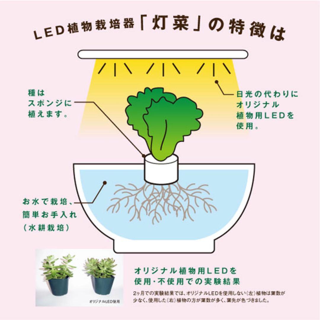 【新品未開封】水耕栽培キット Akarina01 灯菜 アカリーナ OMA01
