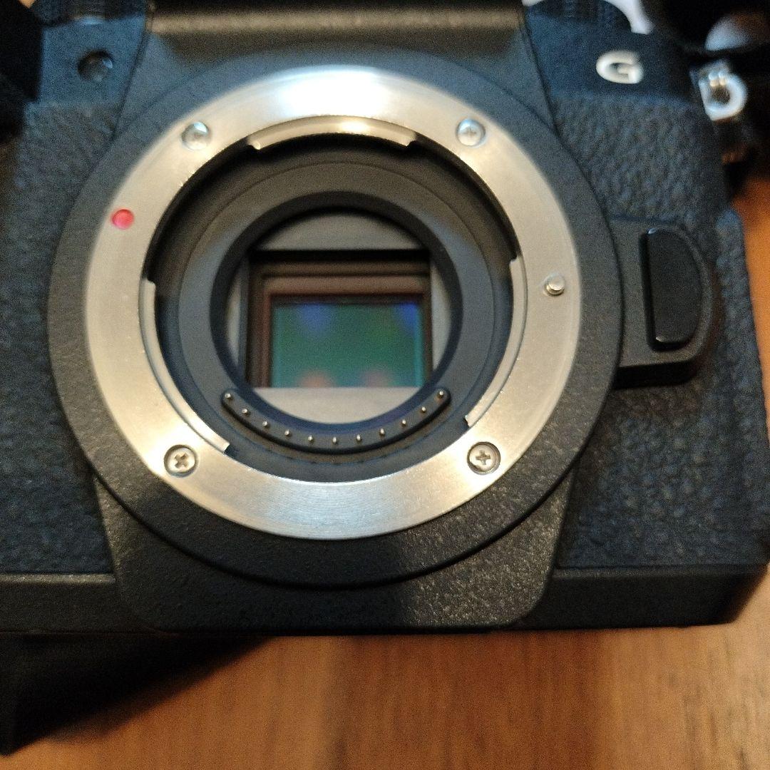 最終値下げ Panasonic LUMIX DC-G99 ミラーレス一眼