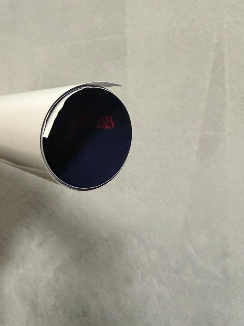 the GazettE MASS 特典ポスター　RUKI