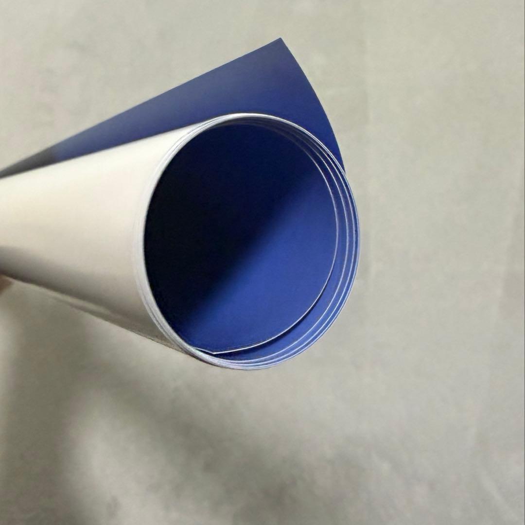 the GazettE MASS 特典ポスター　RUKI