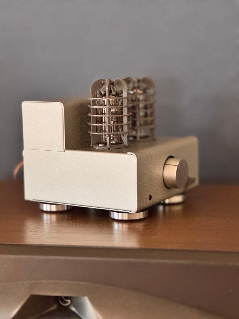 ステレオアンプ エレキット TU-8100