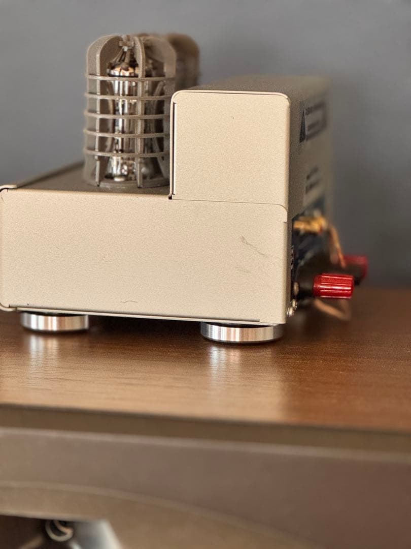 ステレオアンプ エレキット TU-8100