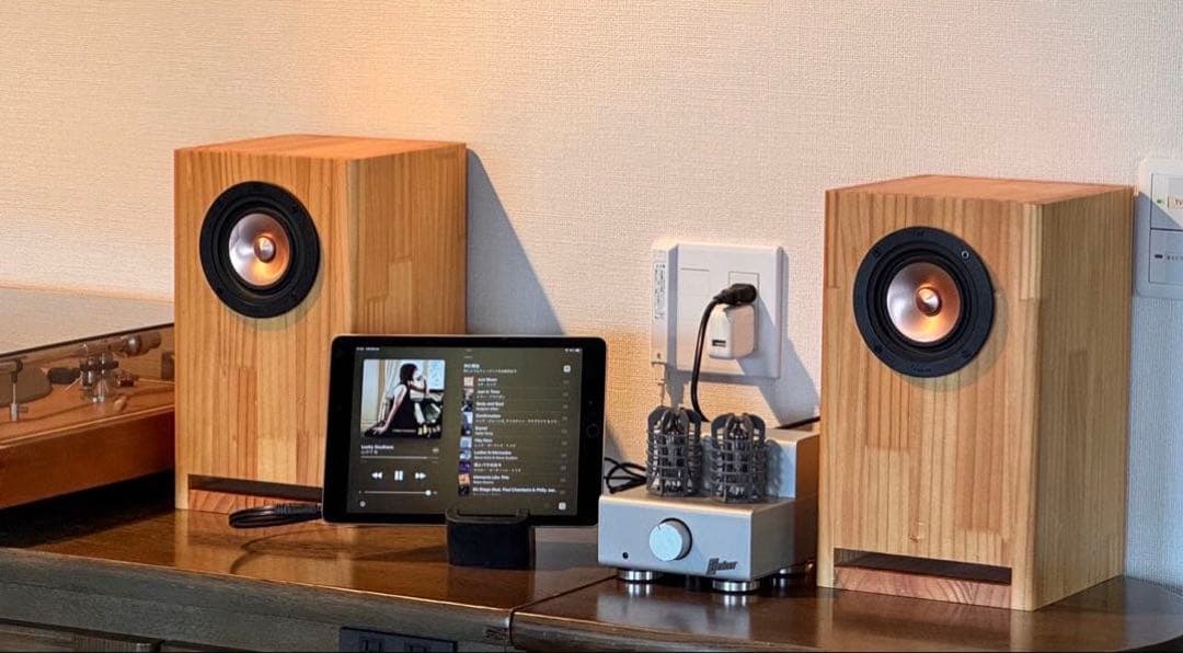 ステレオアンプ エレキット TU-8100