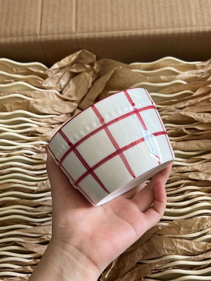 赤い格子模様の飯碗とスプーンセット