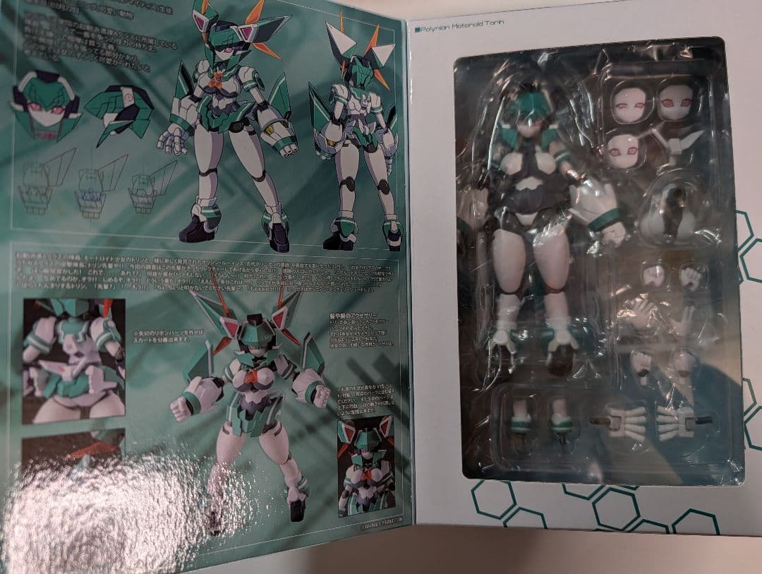 ダイバディ　ポリニアン　トリン　一部加工済み