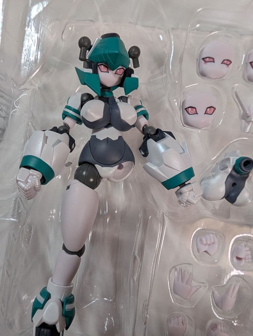 ダイバディ　ポリニアン　トリン　一部加工済み